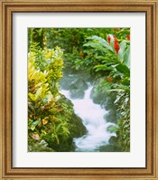 Framed Waterfall, Tabacon, Costa Rica