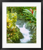 Framed Waterfall, Tabacon, Costa Rica