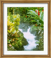 Framed Waterfall, Tabacon, Costa Rica
