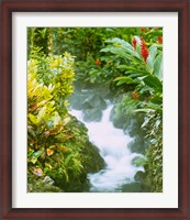 Framed Waterfall, Tabacon, Costa Rica