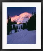Framed Mt Rainier National Park, Washington State