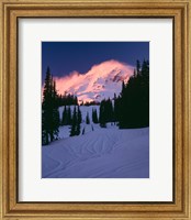 Framed Mt Rainier National Park, Washington State