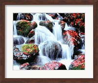 Framed Waterfalls, Kyoto, Japan