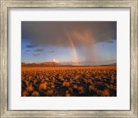 Framed Nevada Desert Rainbow
