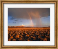 Framed Nevada Desert Rainbow