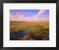 Framed Everglades National Park