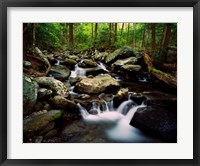 Framed LeConte Creek, Great Smoky Mountains National Park