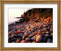 Framed Maine, Acadia National Park