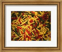 Framed Tri-Colored Pasta