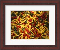 Framed Tri-Colored Pasta
