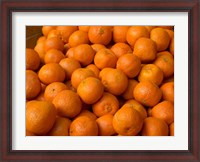 Framed Oranges for Sale, Fes, Morocco