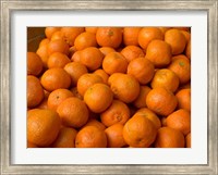 Framed Oranges for Sale, Fes, Morocco
