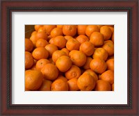 Framed Oranges for Sale, Fes, Morocco