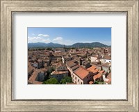 Framed Torre Guinigi, Lucca, Tuscany, Italy
