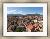 Framed Torre Guinigi, Lucca, Tuscany, Italy