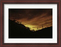 Framed Sunset over The Sonoran Desert, AZ