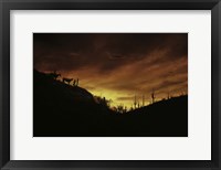 Framed Sunset over The Sonoran Desert, AZ