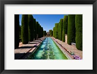 Framed Gardens of the Alcazar de los Reyes Cristianos, Spain