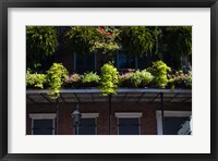 Framed French Quarter, New Orleans, Louisiana