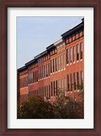 Framed Row Houses in the City, Bolton Hill, Baltimore, Maryland