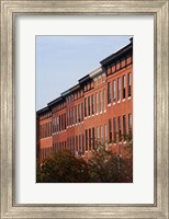 Framed Row Houses in the City, Bolton Hill, Baltimore, Maryland