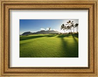 Framed Golf Course, Kauai Lagoons, Kauai, Hawaii