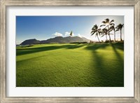 Framed Golf Course, Kauai Lagoons, Kauai, Hawaii