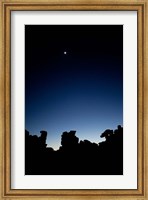 Framed Quiver Tree Forest at Night, Namibia