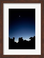 Framed Quiver Tree Forest at Night, Namibia