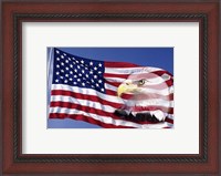 Framed Bald Eagle on Flag