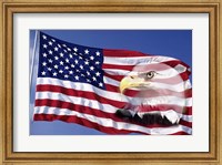 Framed Bald Eagle on Flag