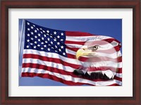 Framed Bald Eagle on Flag