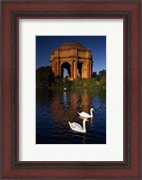 Framed Swans and Palace of Fine Arts
