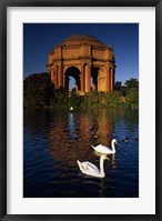 Framed Swans and Palace of Fine Arts