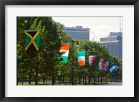 Framed National Flags, Philadelphia, Pennsylvania