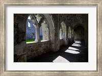 Framed Cloisters in Killmallock 12th Century Dominican Friary, Co Limerick, Ireland