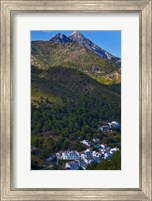 Framed El Acebuchal, Malaga, Spain