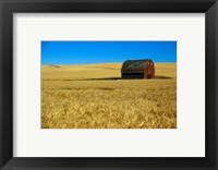 Framed Red barn in wheat field, Palouse region, Washington, USA.