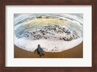 Framed Green Sea Turtle, Tortuguero, Costa Rica