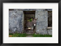 Framed Great Blasket Island, Ireland