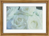Framed Flowers Roses