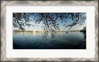Framed Jefferson Memorial, Potomac River, Washington DC