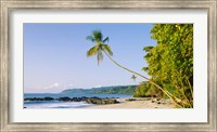 Framed Montezuma Beach, Nicoya Peninsula, Costa Rica