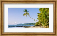 Framed Montezuma Beach, Nicoya Peninsula, Costa Rica