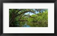 Framed Estero River in Fort Myers, Florida