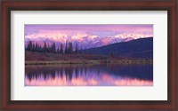 Framed Alaska Denali National Park