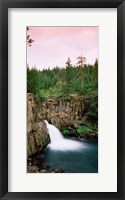 Framed Forest Waterfall, Shasta, California