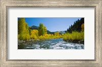 Framed San Miguel River, Colorado