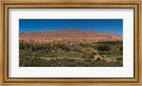 Framed Tinghir Oasis, Province De Tinghir, Souss-Massa-Draa, Morocco