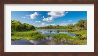 Framed Deer Prairie Creek Preserve, Sarasota County, Venice, Florida